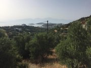 Katsikia Kreta, Katsikia: Bauland nahe Agios Nikolaos zu verkaufen Grundstück kaufen